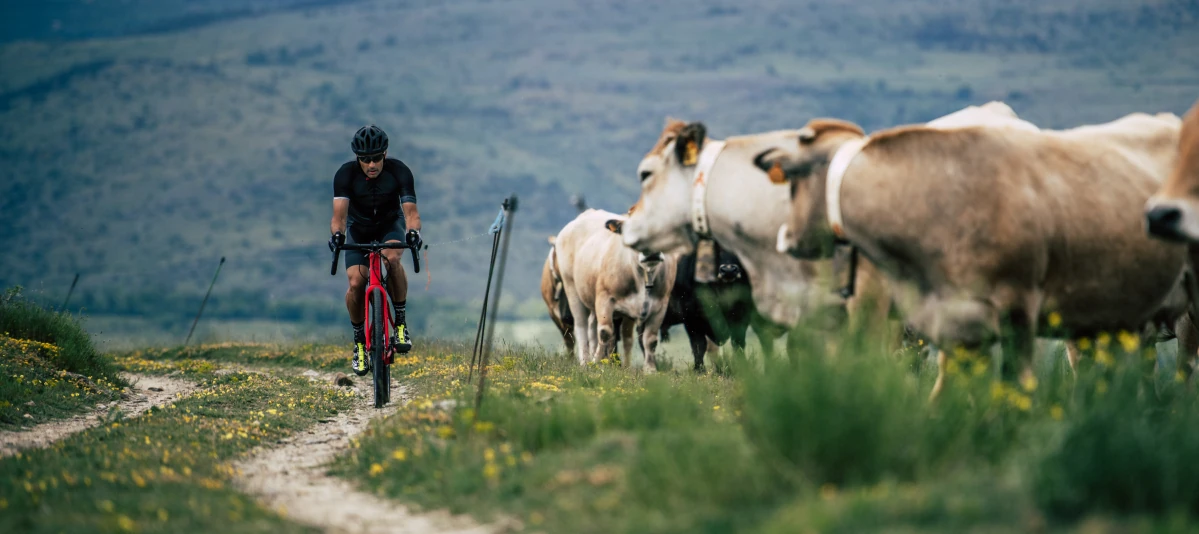 Gravelbikes